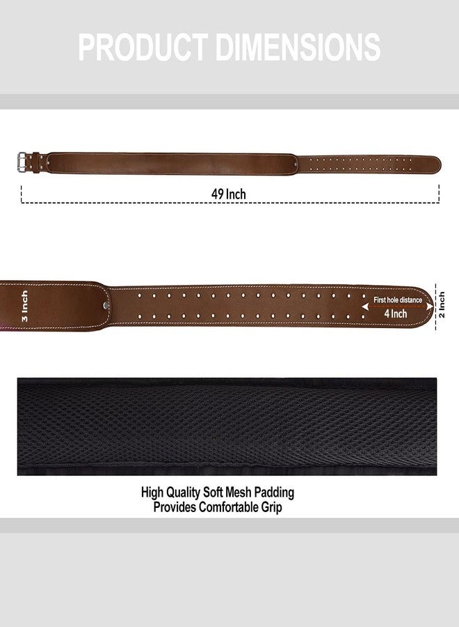 LAUTUS 3-Inch Tapered Padded Work Belt in Heavy Oiled Tanned Leather| 32-Inch to 45-Inch | Brown| - Image 4